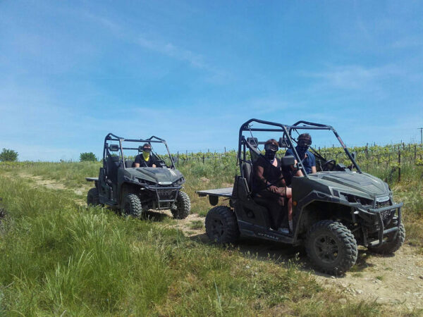 Buggy ride