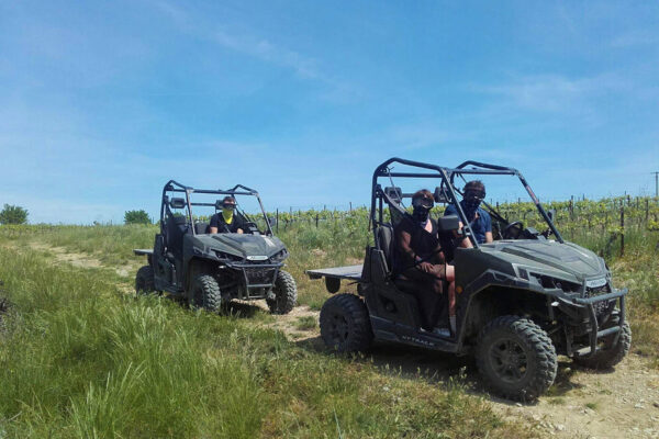 Buggy ride