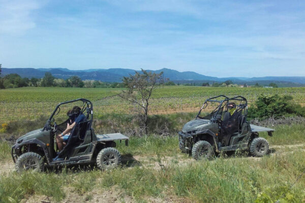 Buggy ride