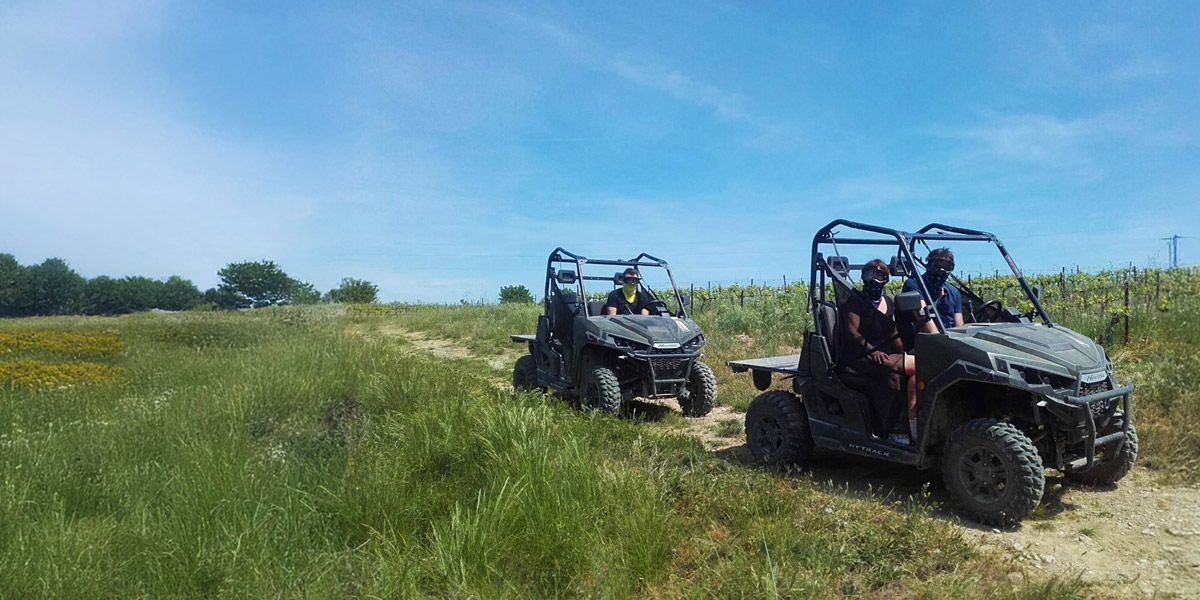 Buggy