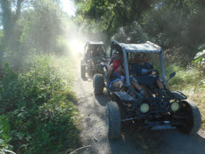 Buggy ride