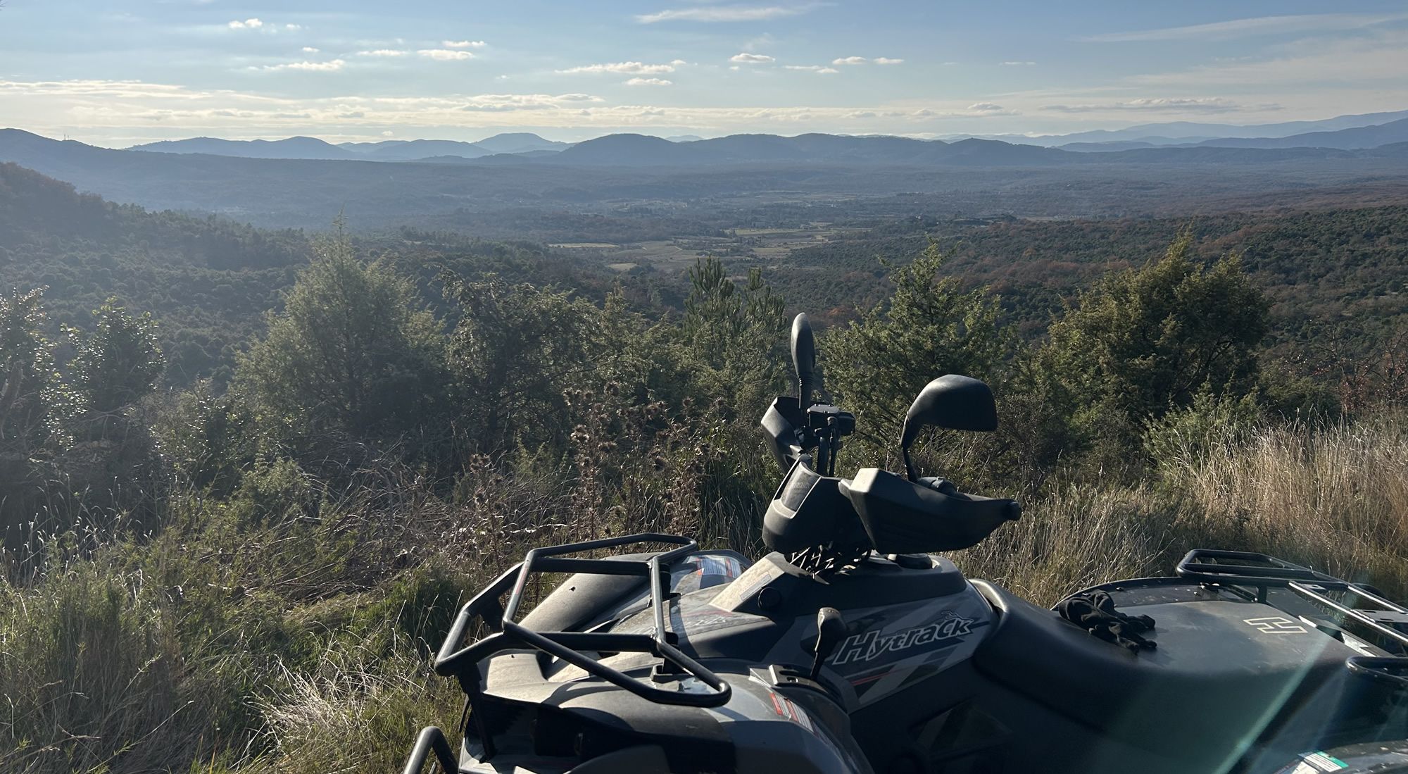 Quad